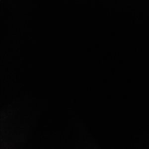 Meet your Posher, Gavin